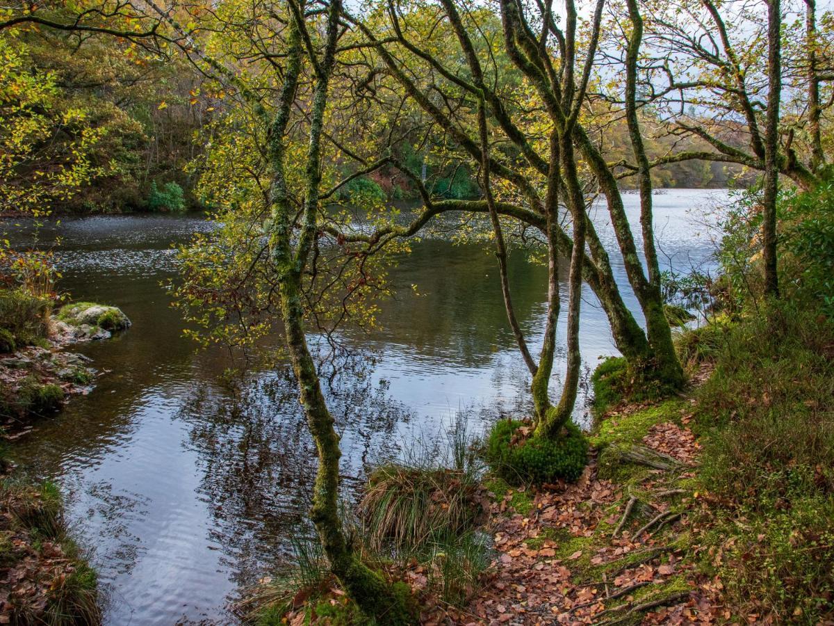 Yr Adfa The Retreat Villa Blaenau Ffestiniog Esterno foto